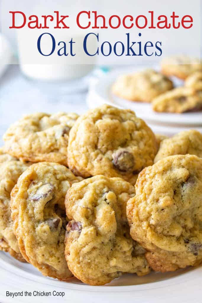 A stack of cookies on a plate.