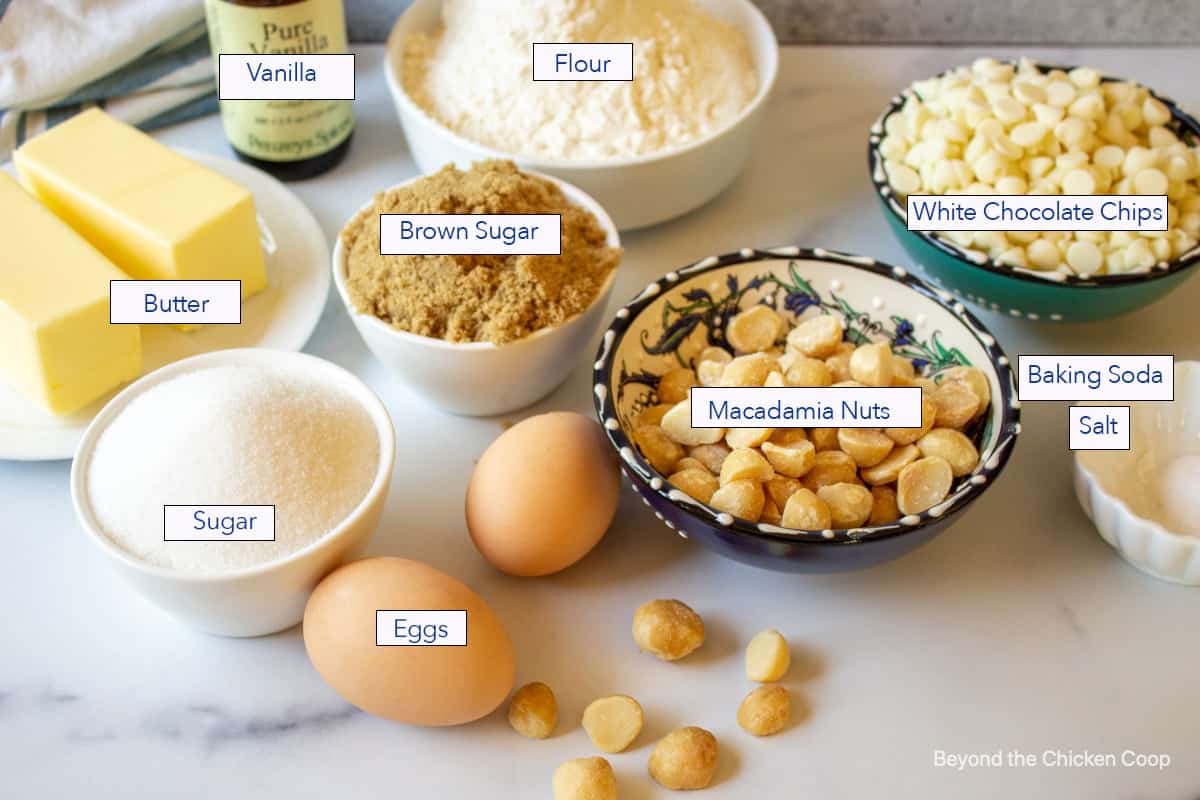 Ingredients for making macadamia nut cookies.