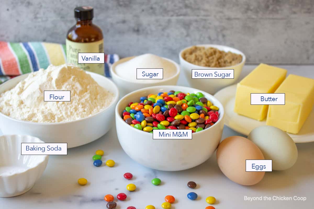 Ingredients for making M and M cookies.