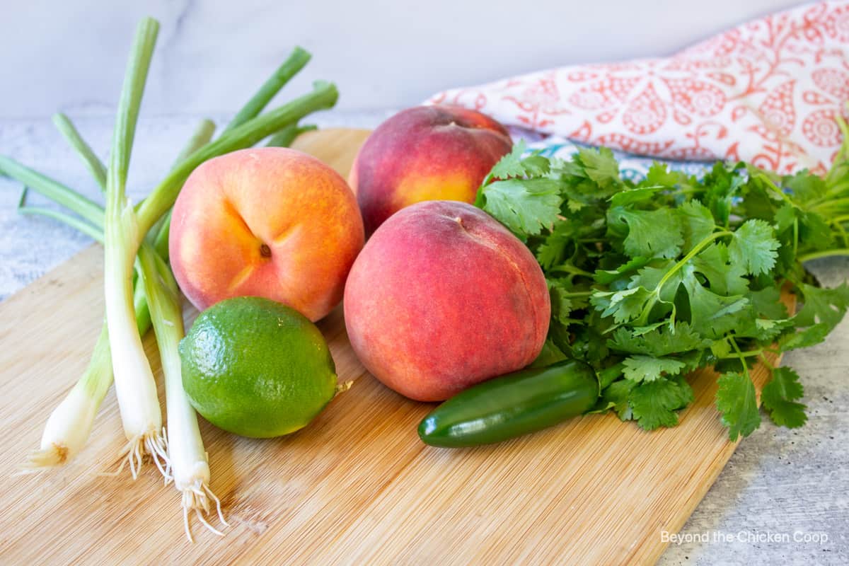 Ingredients for making salsa with peachees. 