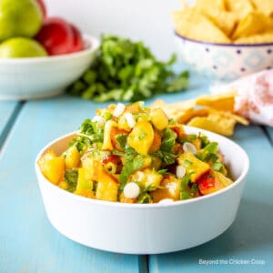 A bowl filled with peach salsa.