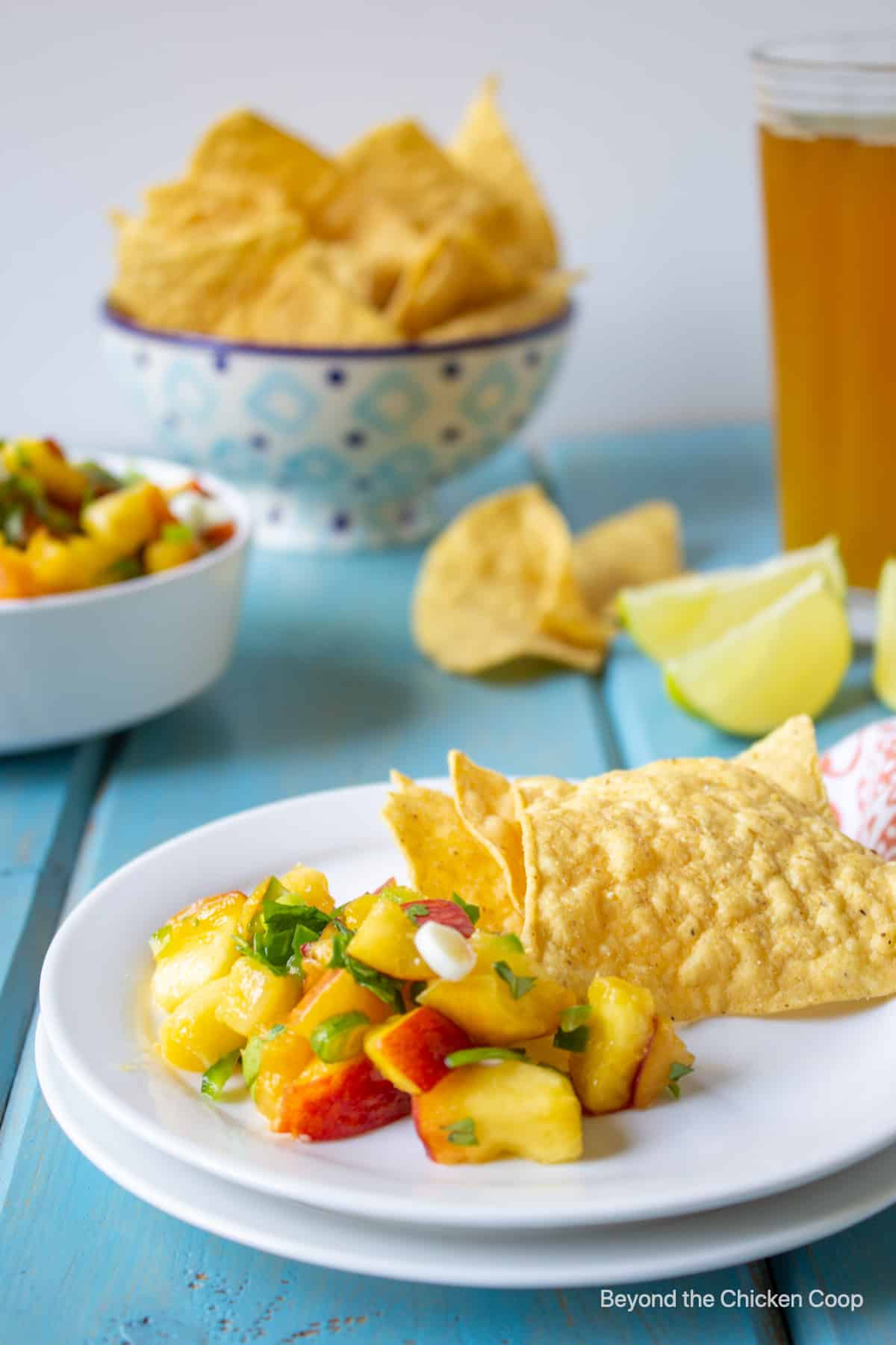 Fresh fruit salsa with corn chips.