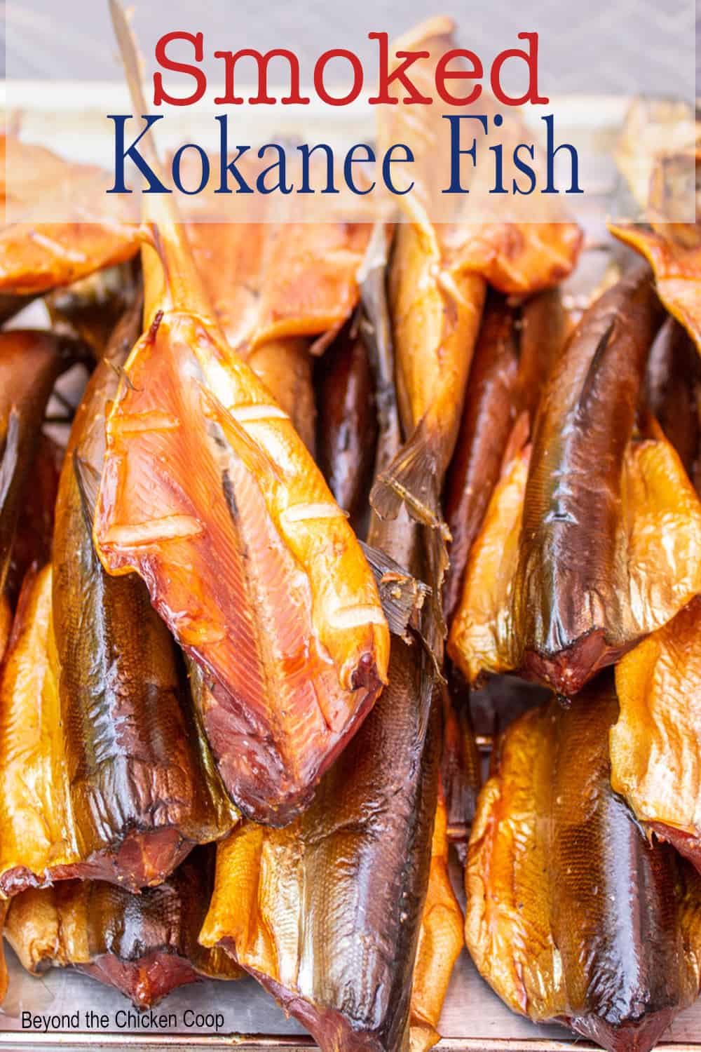 Smoked Kokanee Beyond The Chicken Coop