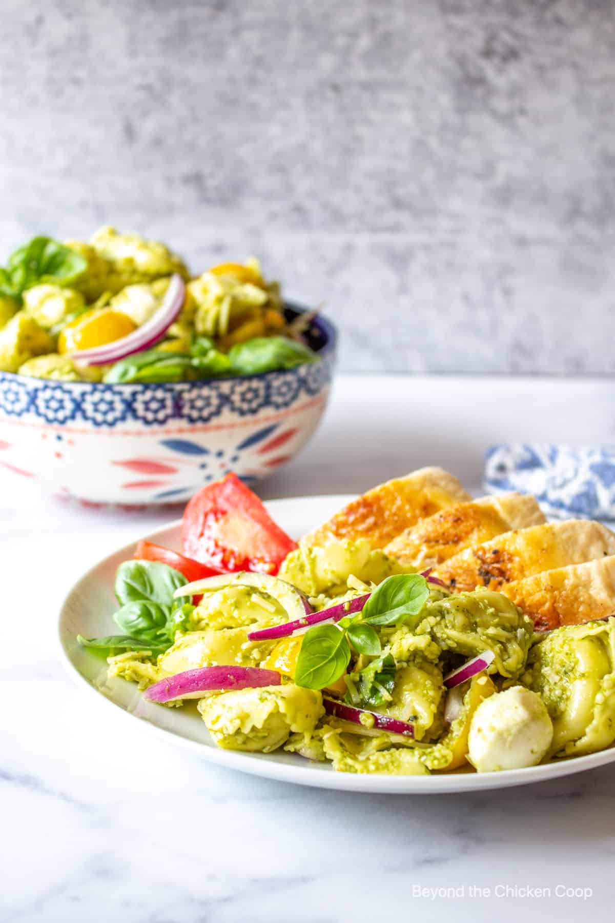 Pasta salad and sliced chicken on a plate.