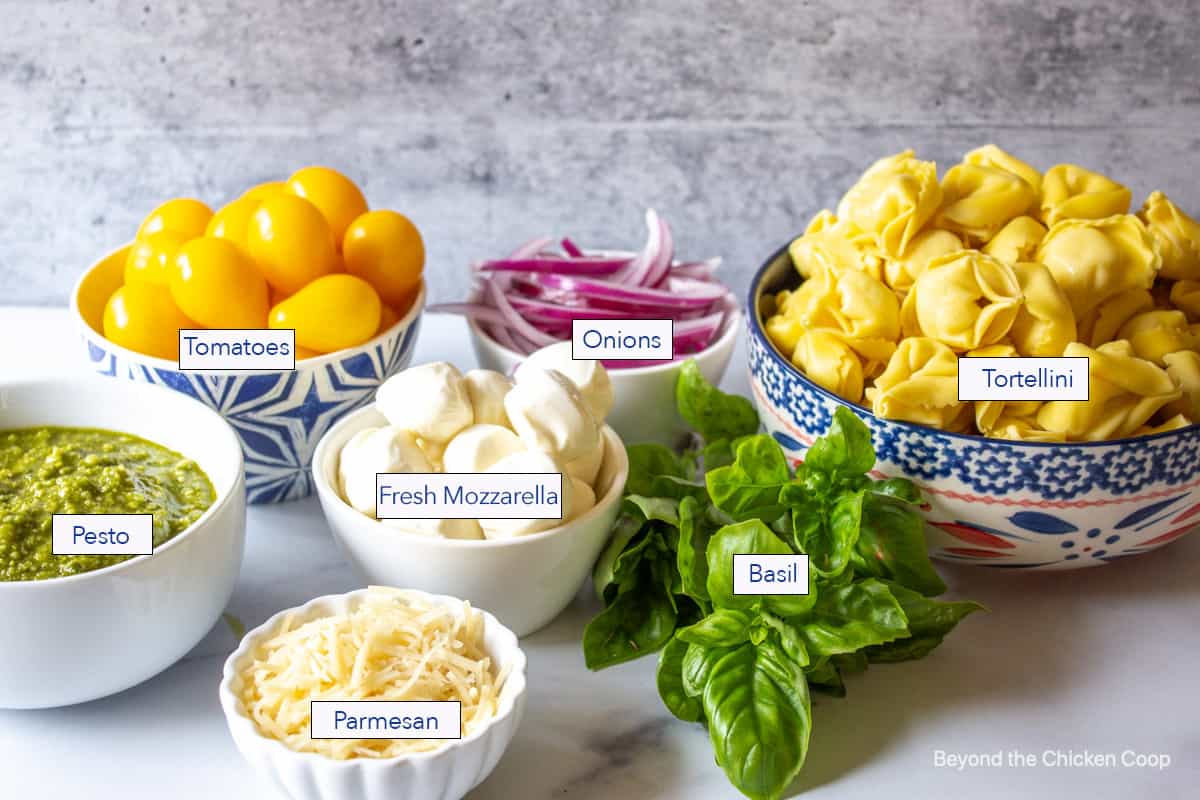 Ingredients used for making tortellini salad.