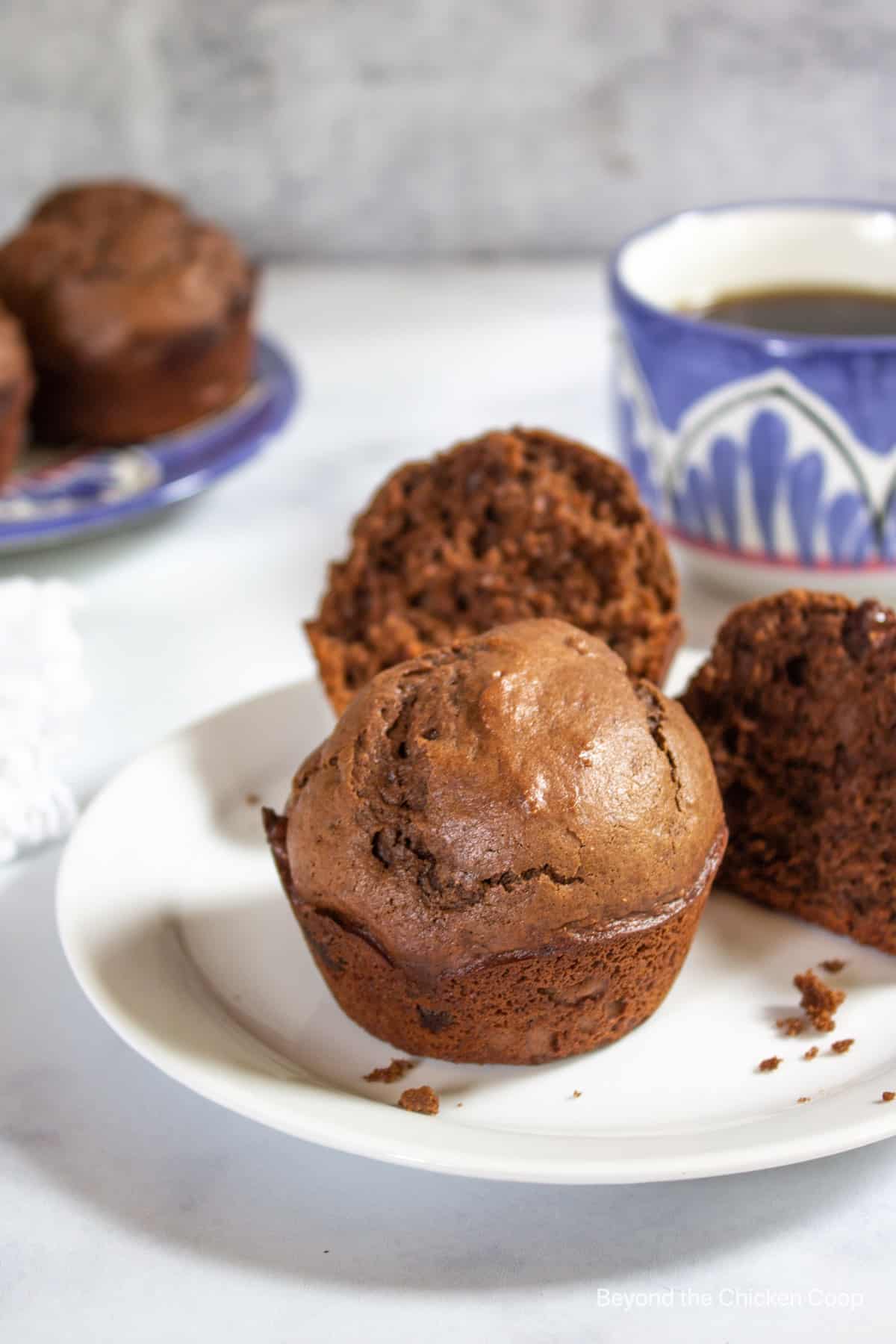 A chocolate muffin on a white plate. 