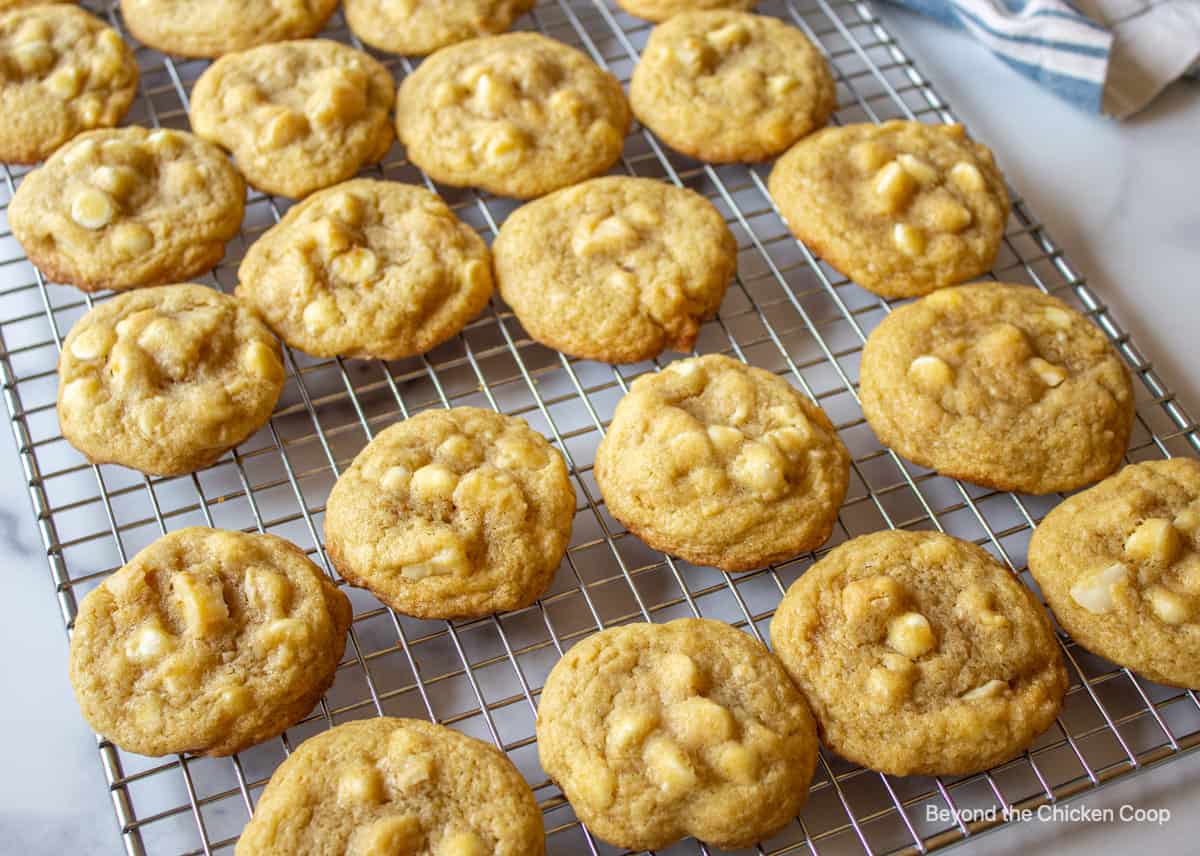 Cookies on a baking rack.