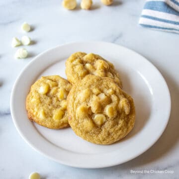 Three cookies with nuts on a plate.