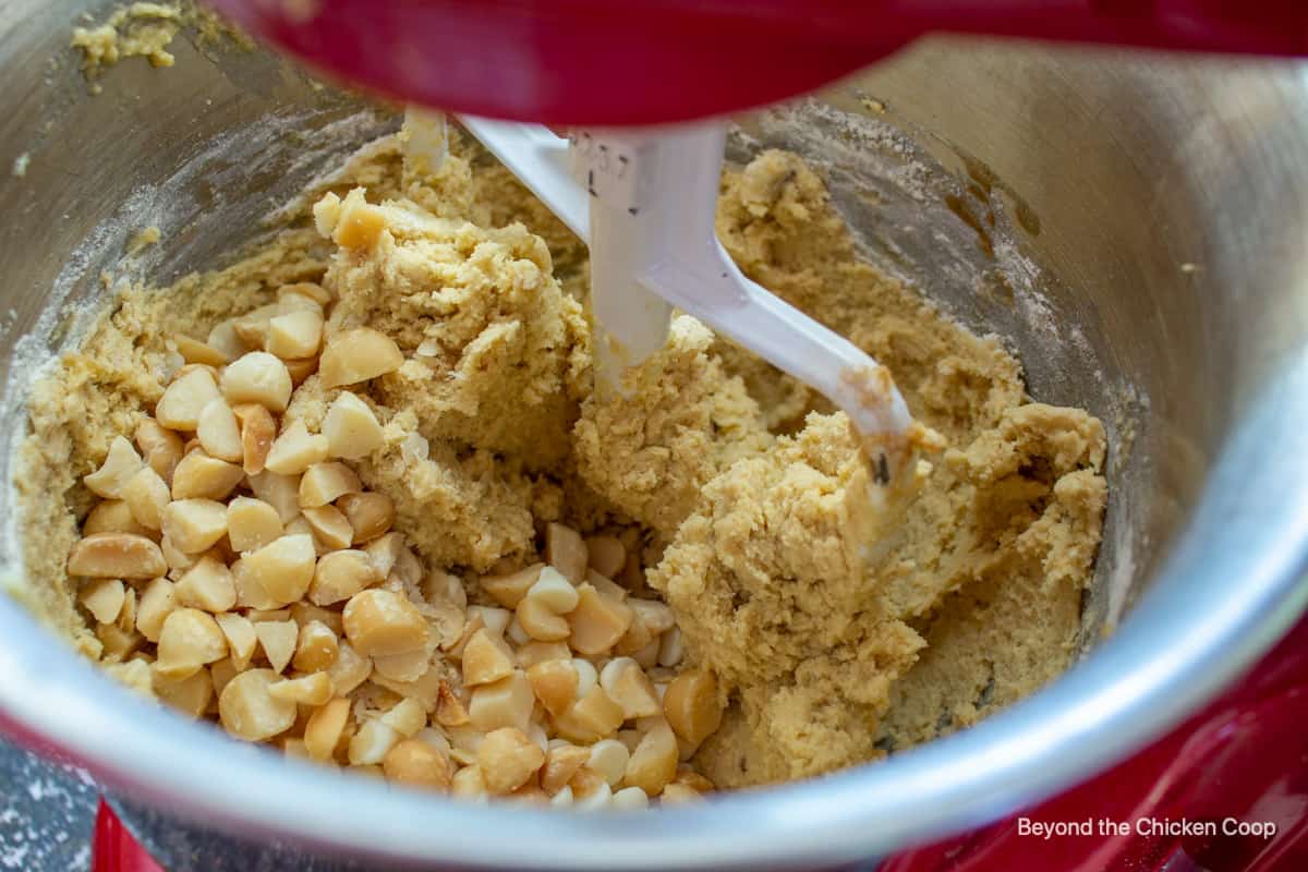 Macadamia nuts in a bowl with cookie dough.