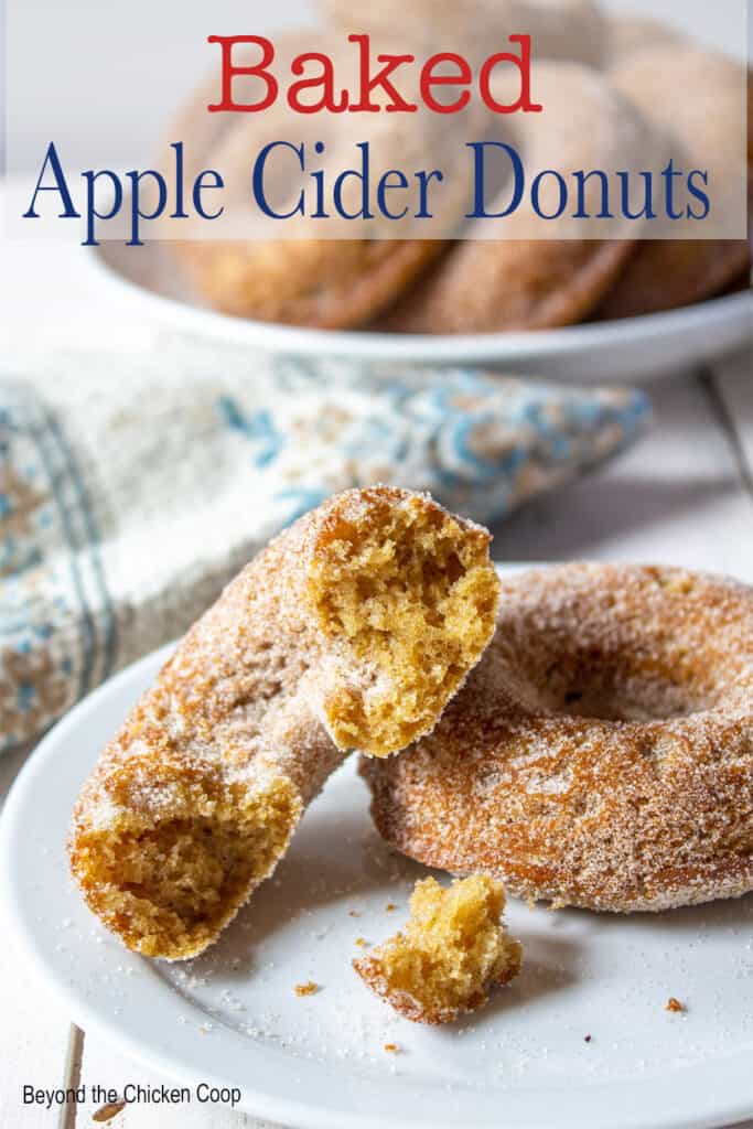 Donuts on a white plate.