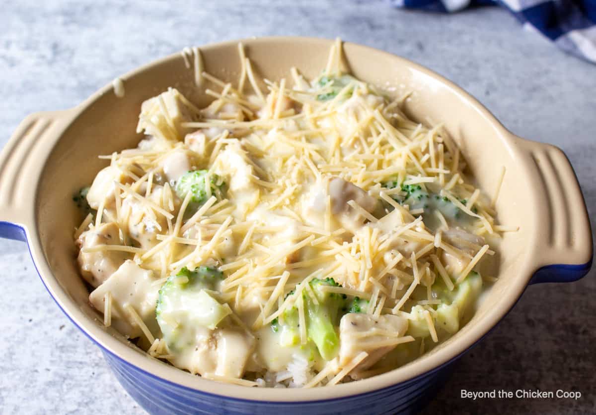 A casserole with broccoli and chicken and topped with cheese.