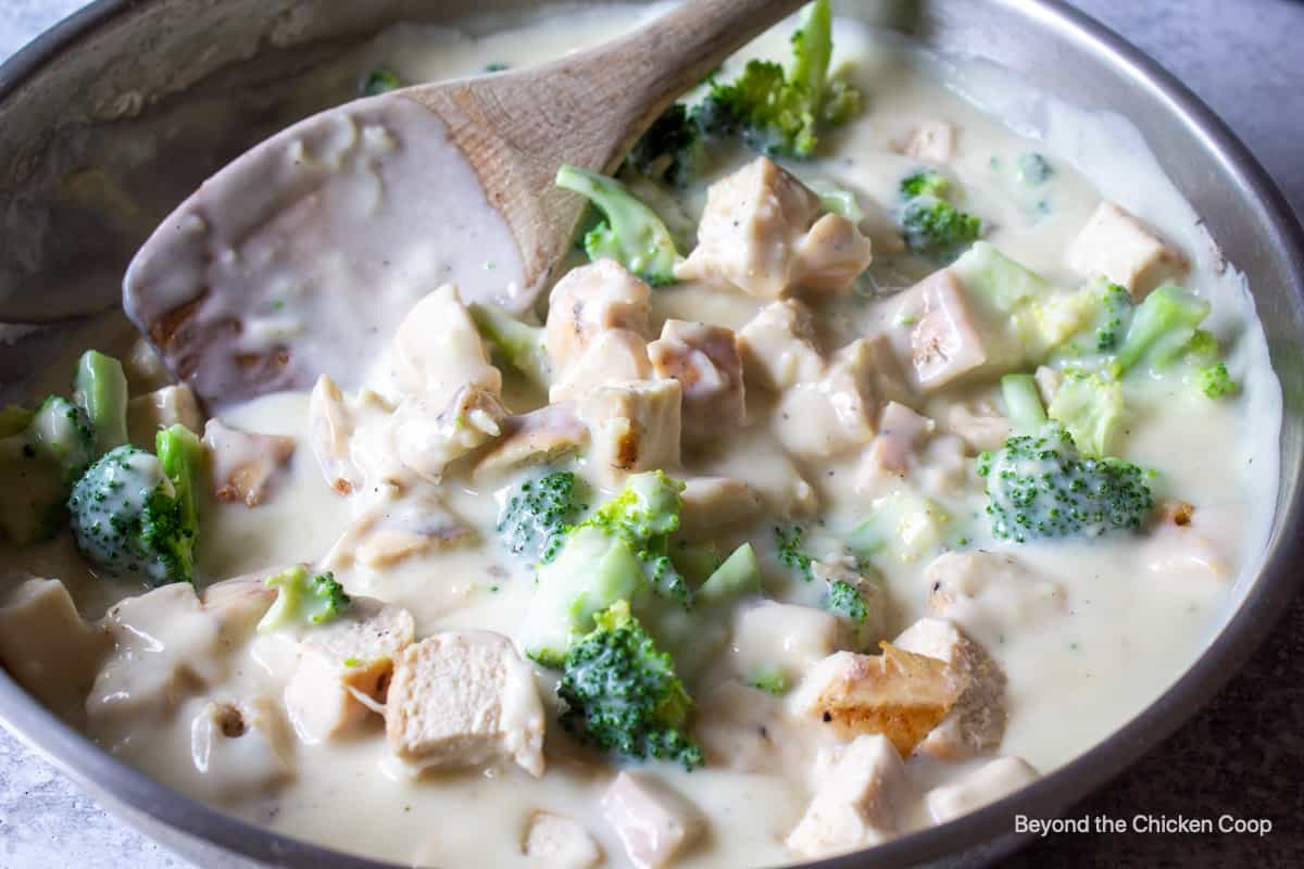 A creamy sauce with chicken and broccoli.