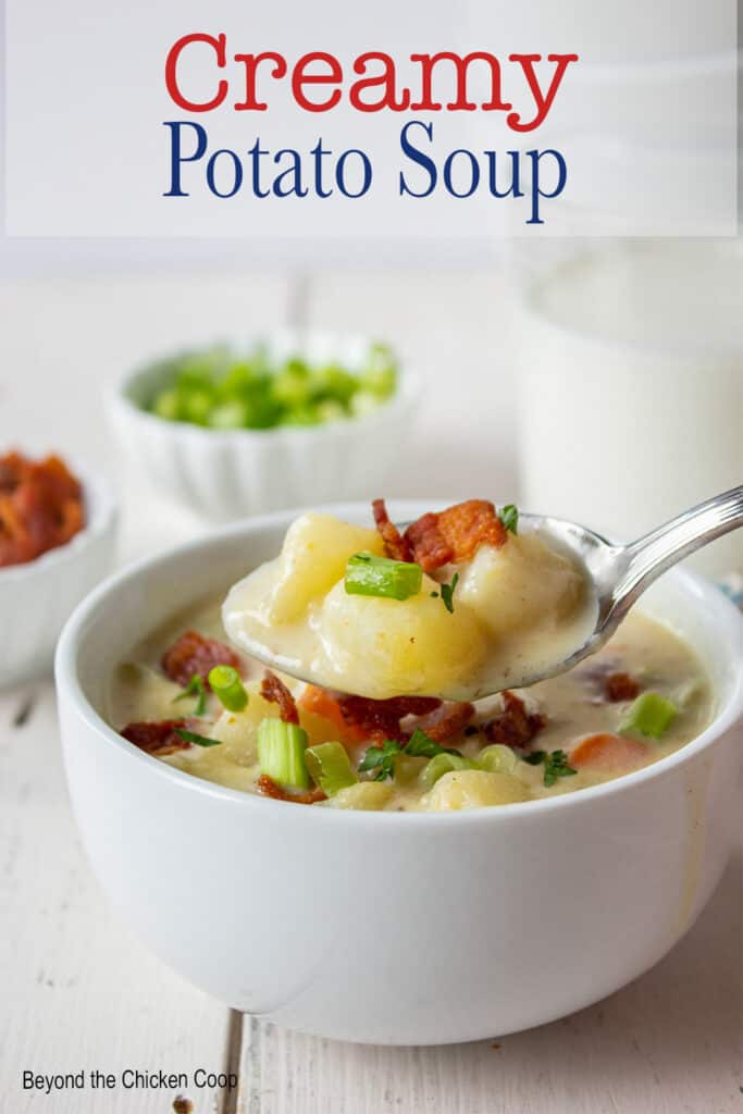 A spoonful of potato soup.