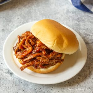A pulled pork sandwich on a hamburger bun.