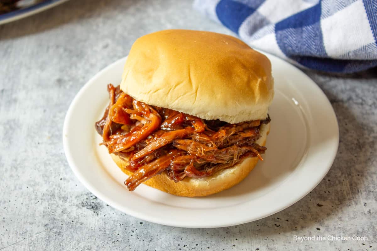 https://www.beyondthechickencoop.com/wp-content/uploads/2021/09/Crockpot-BBQ-Pulled-Pork-5.jpg