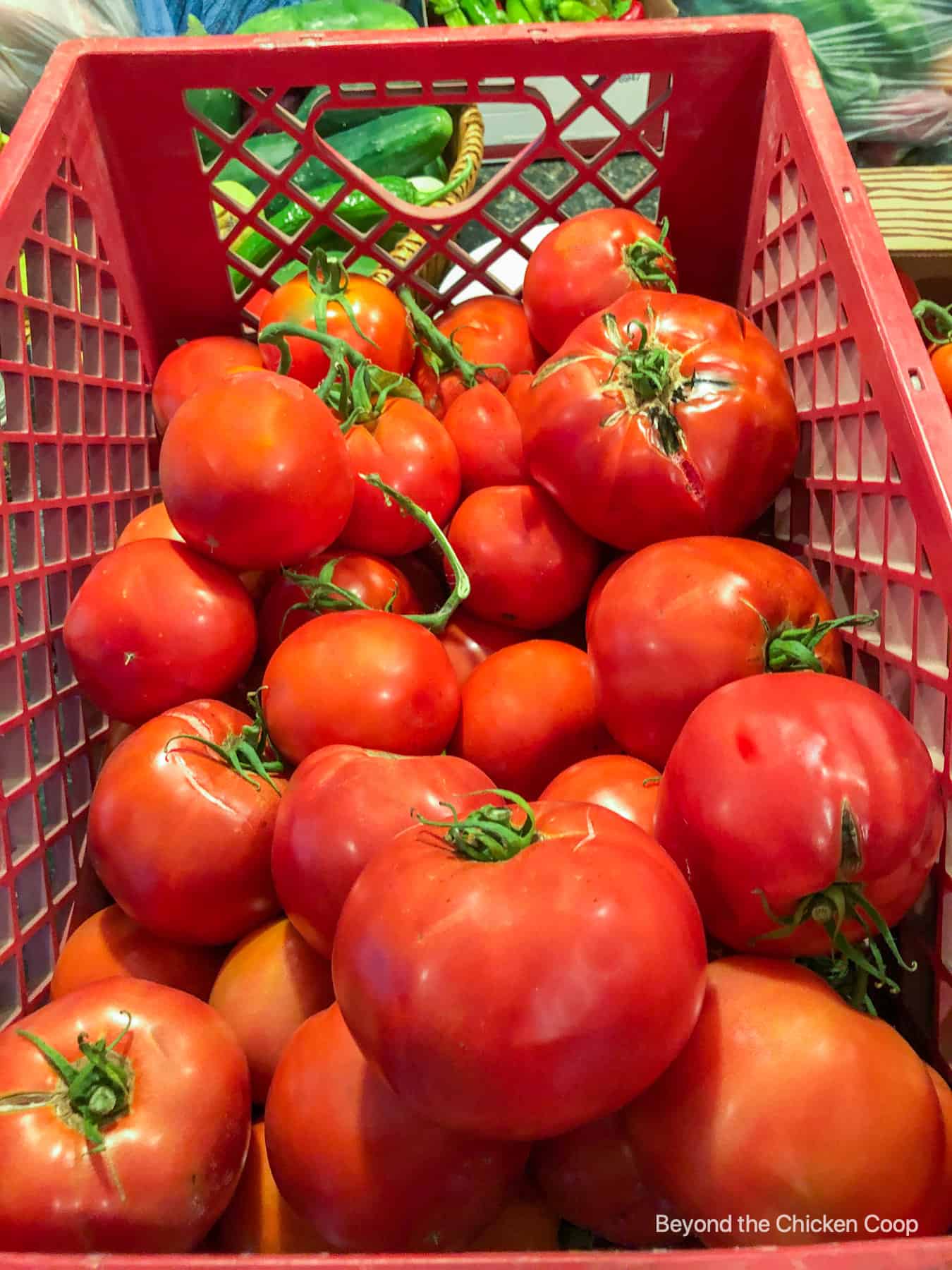 A crate full of fresh tomatoes.