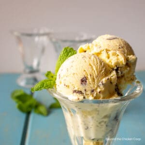 Scoops of ice cream with bits of chocolate in a glass.