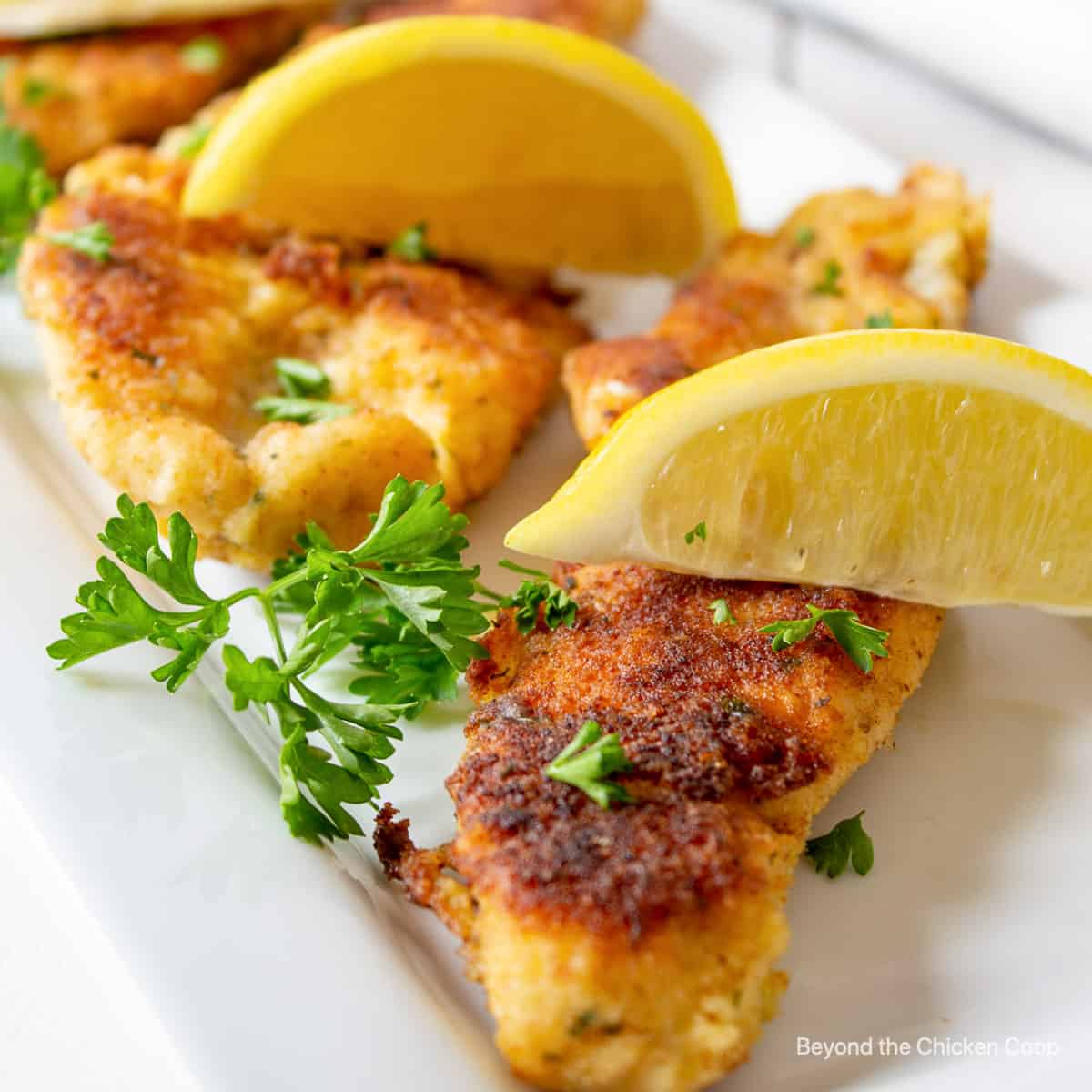 walleye recipes