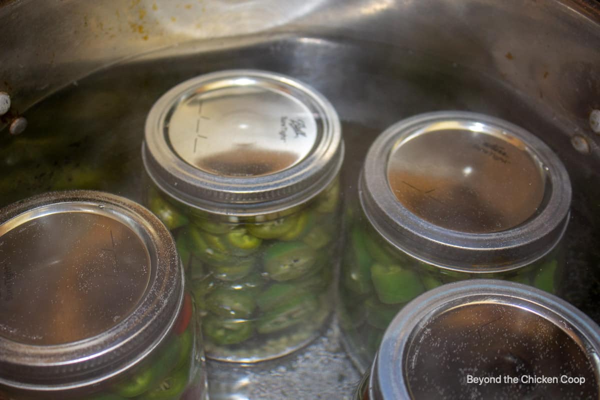 Jars of hot peppers in a water bath canner.