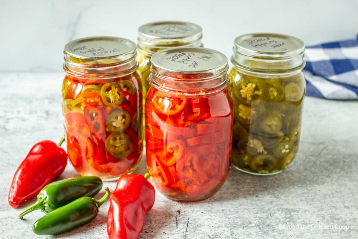Four glass canning jars filled with pickled peppers. 