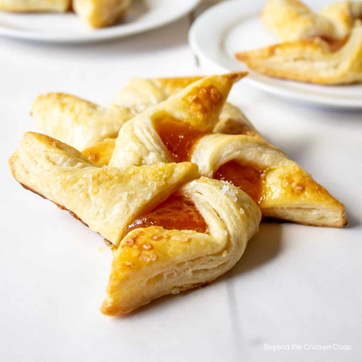 A pinwheel pastry filled with apricot jam.