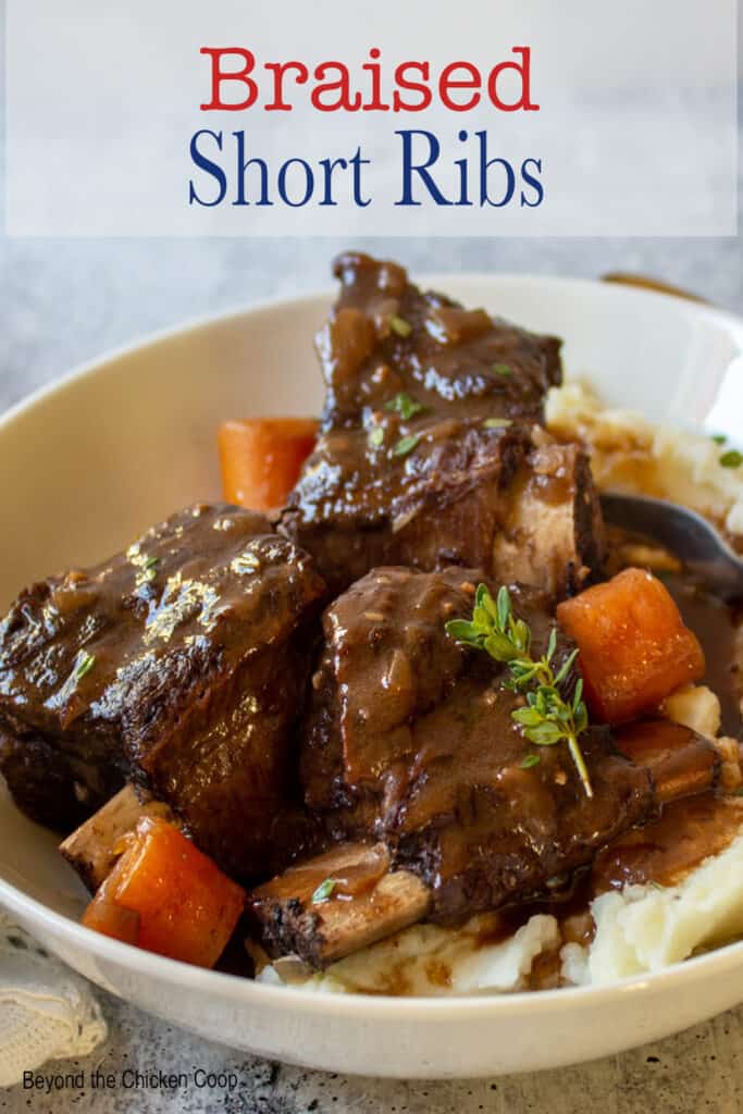 Short ribs with carrots and a rich sauce.