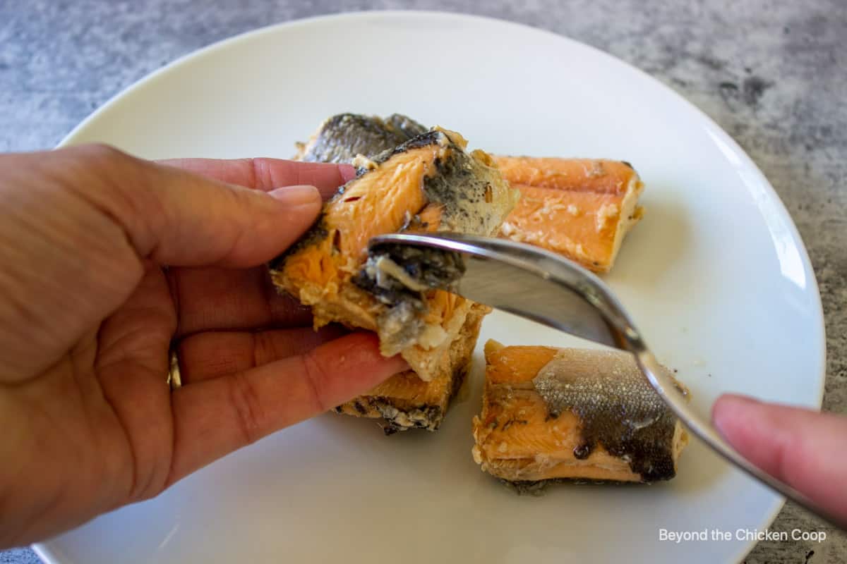 Scraping the skin off canned fish.