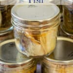 Home canned fish in jars.