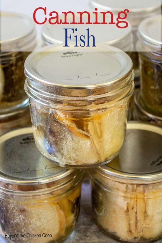 Home canned fish in jars.