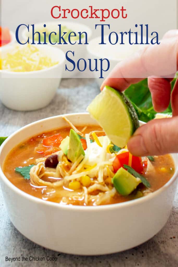 A bowl of soup topped with sour cream and cheese.