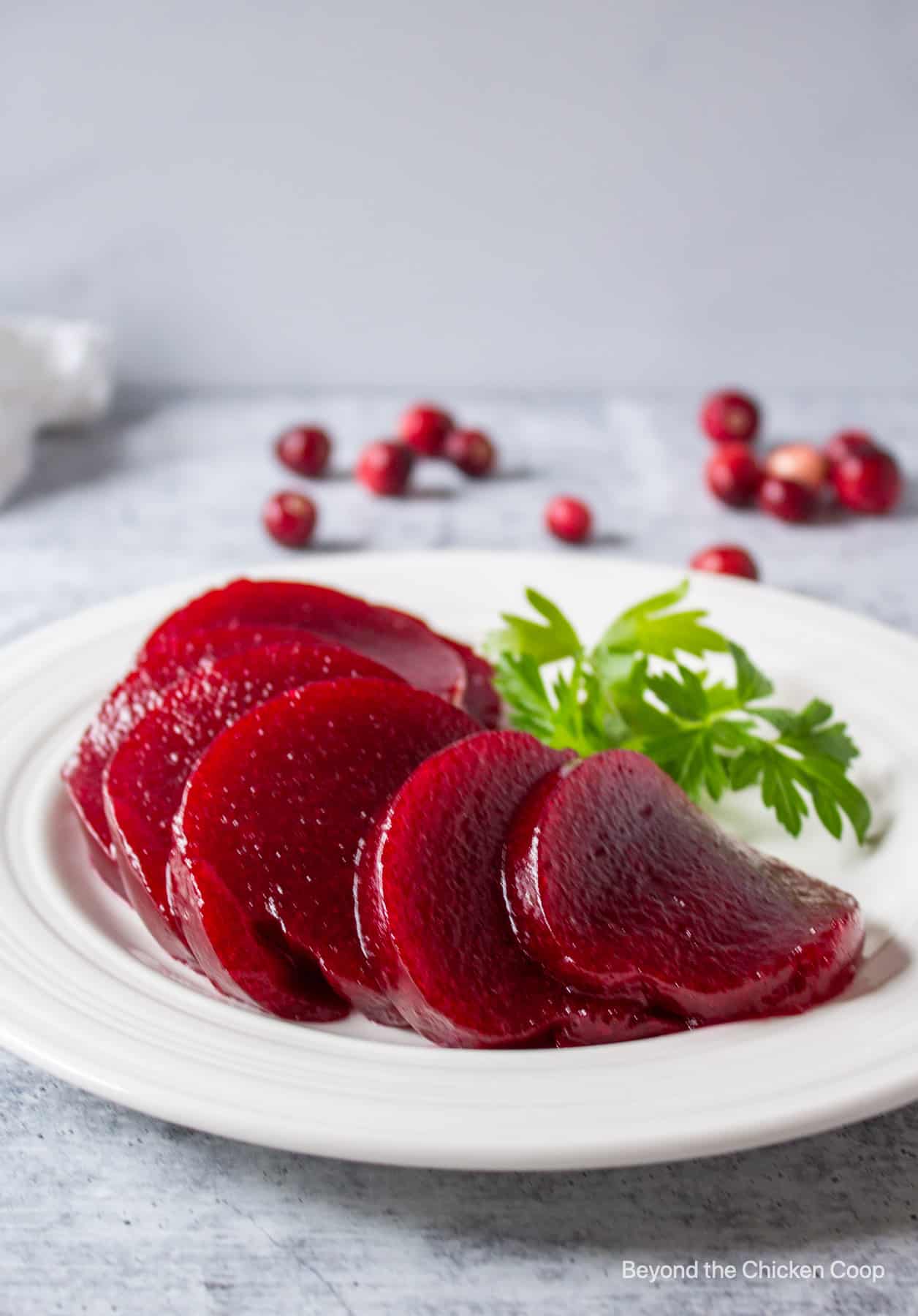 Slices of cranberry sauce on a plate.