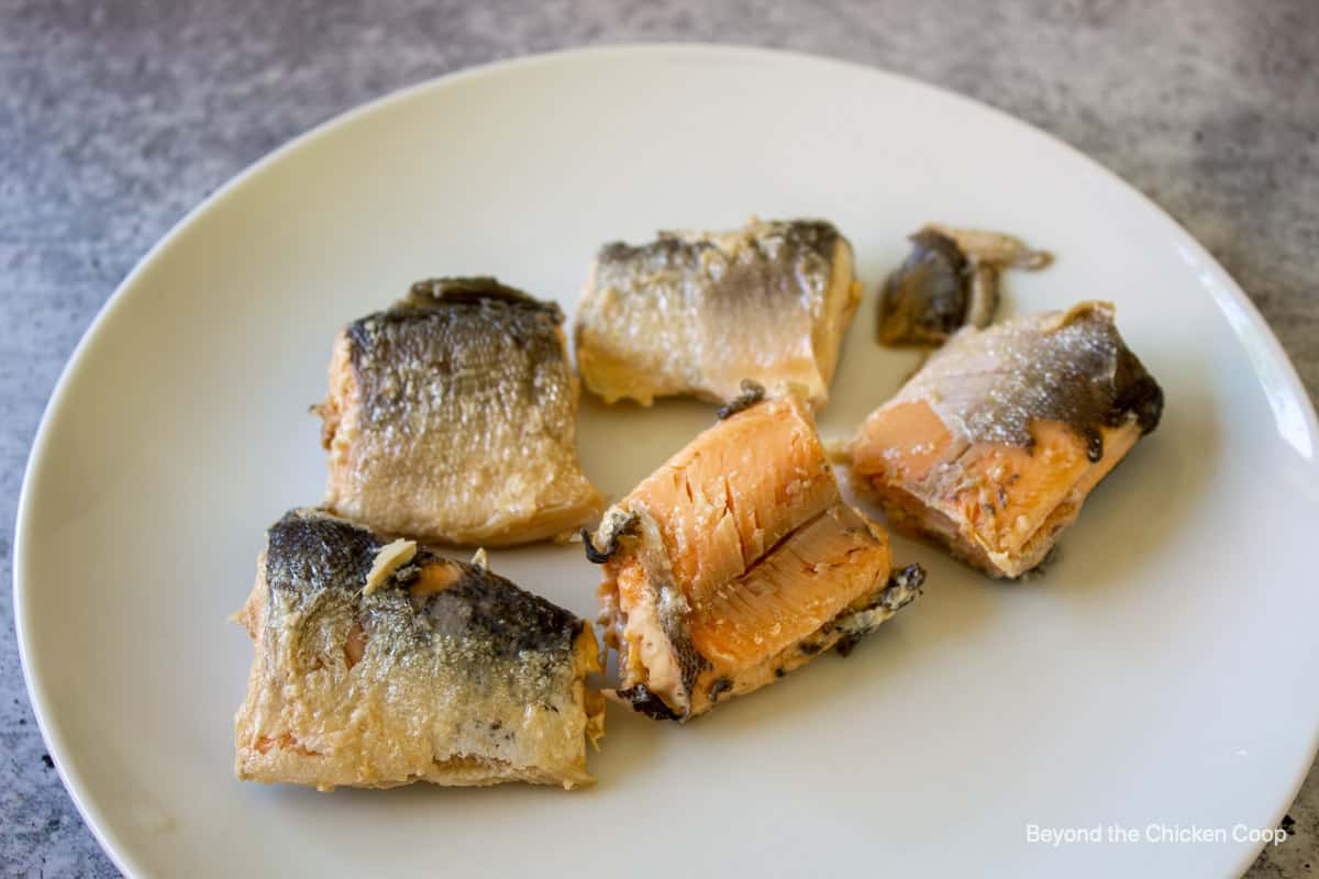 Canned salmon on a plate.