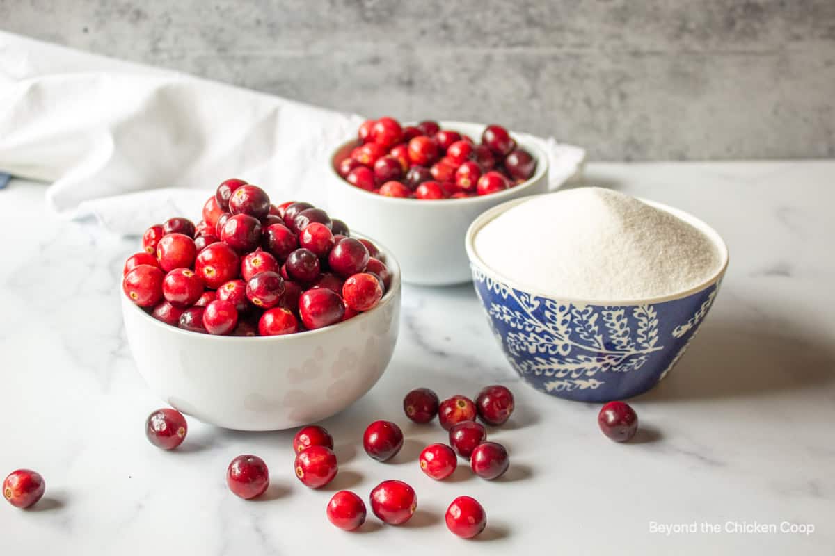 Bowls of fresh cranberries and granulated sugar.