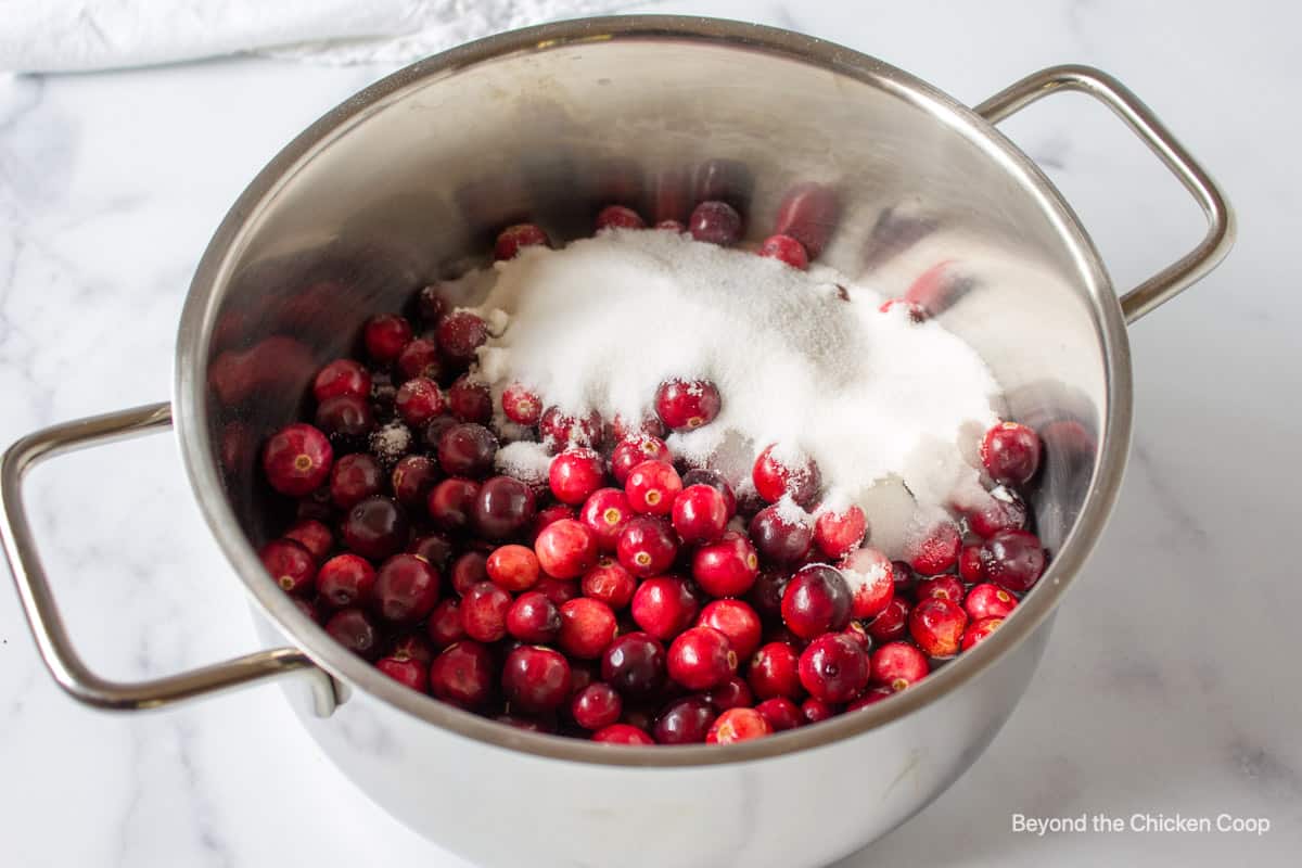 Cranberries and sugar in a saucepan.