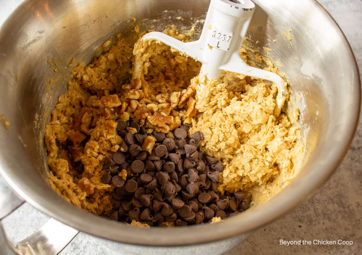 Chocolate chips added to a bowl of cookie dough.