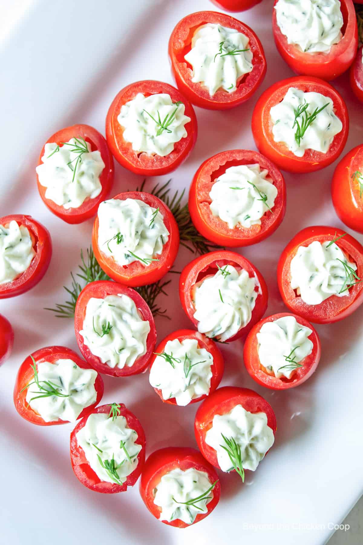 A tray filled with cherry tomatoes filled with cheese.