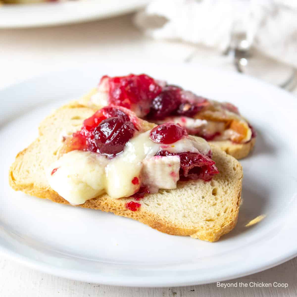 Toasted bread topped with brie and cranberries.