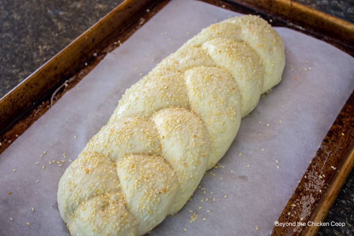 Sesame seeds on braided bread dough.