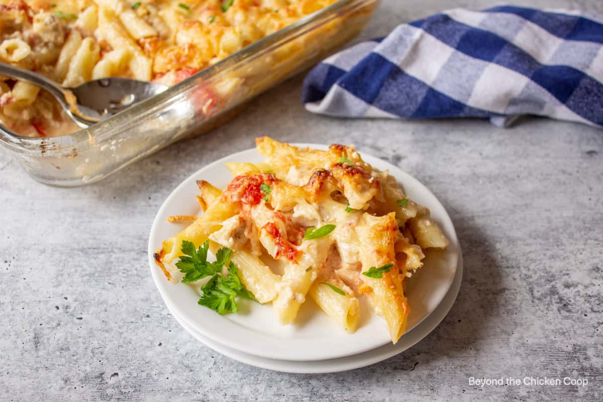 Chicken pasta with tomatoes and topped with fresh green parsley.