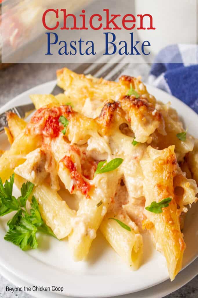 Penne pasta with a cheesy sauce.