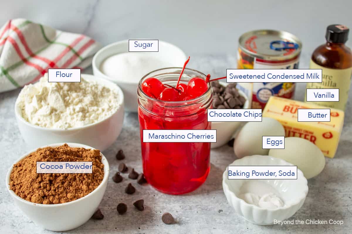 Ingredients for making chocolate cookies with cherries.