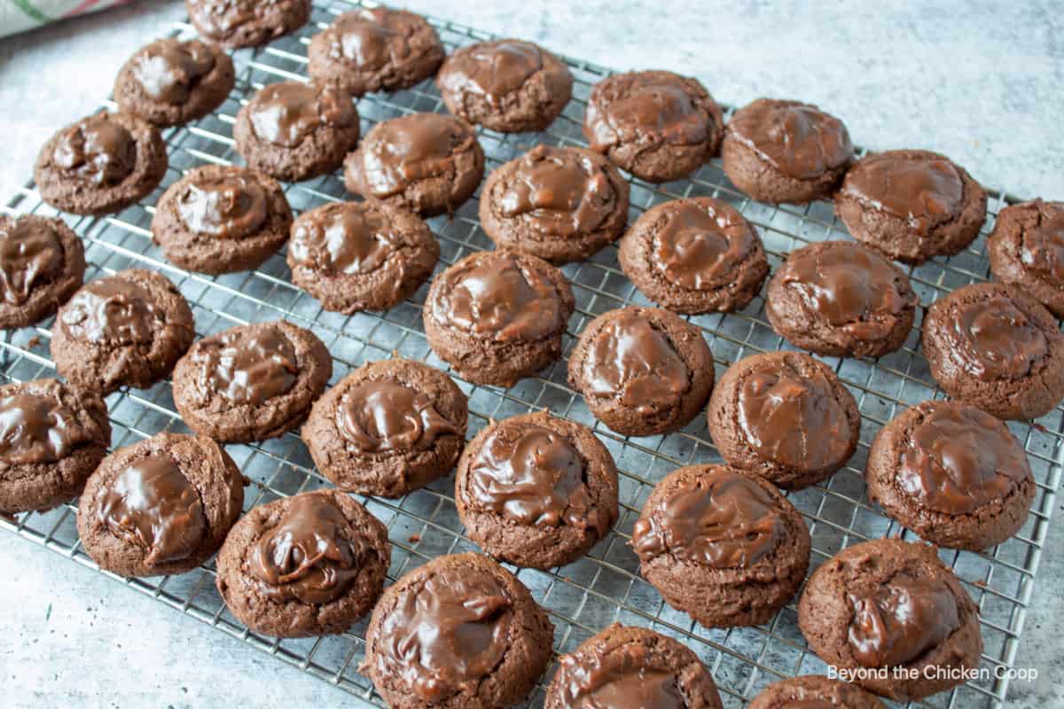 Chocolate cookies on a baking rack.