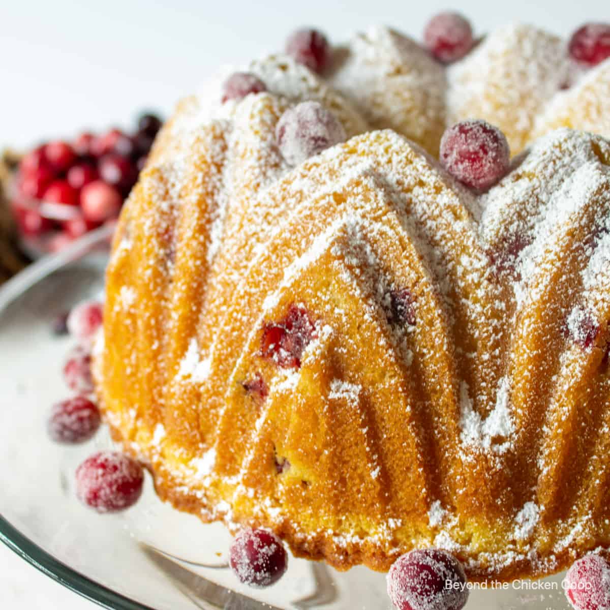 A bundt cake with sugared cranberries.