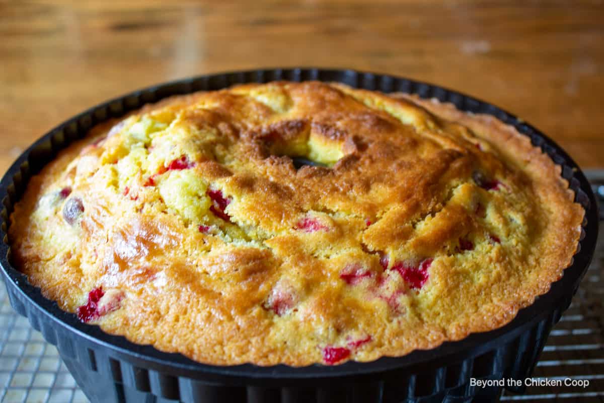 A baked bundt cake with cranberries.