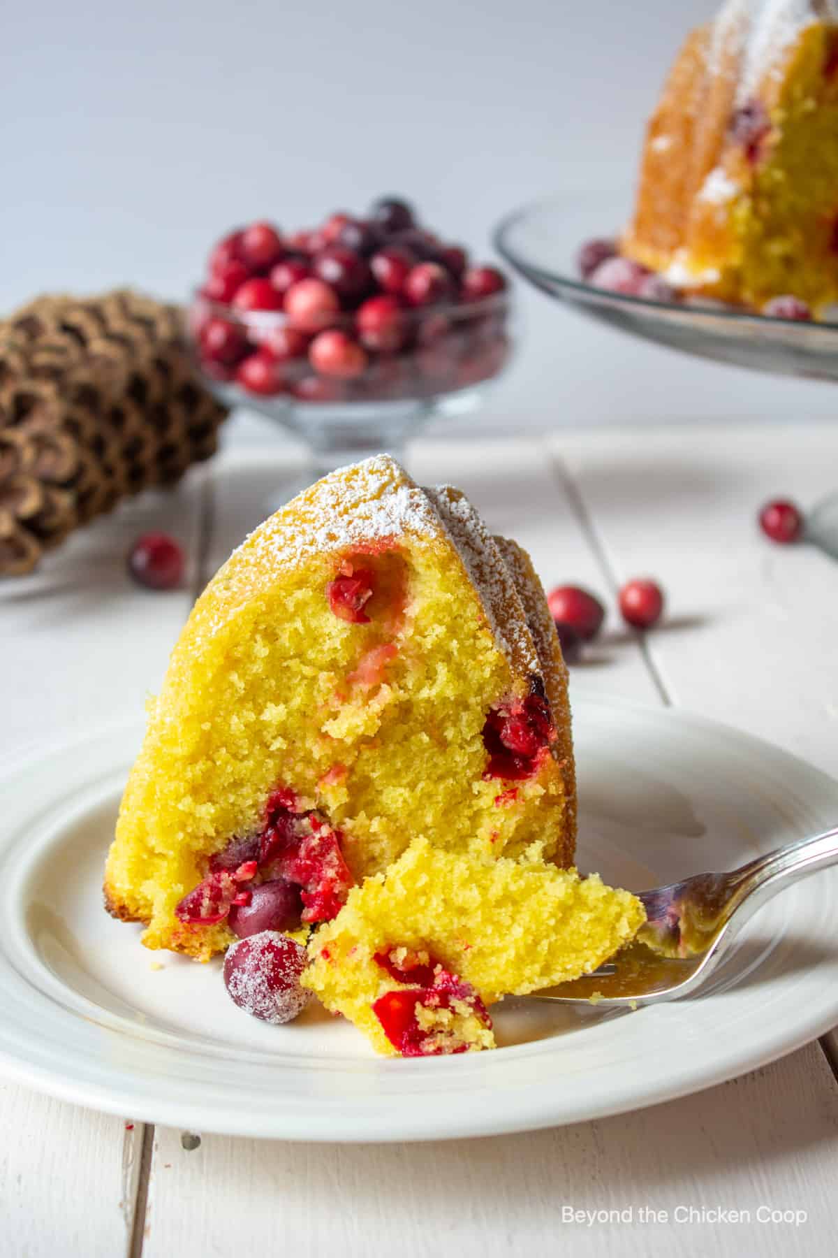 A slice of cake filled with cranberries.