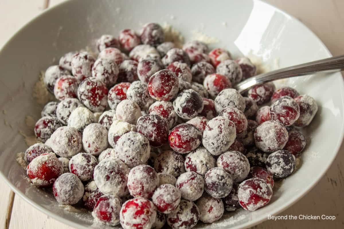 Fresh cranberries covered with flour.