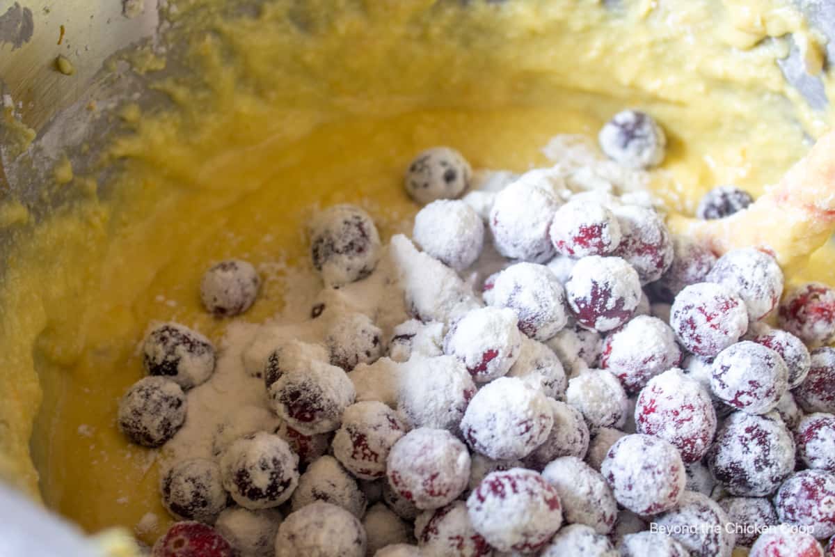 Flour covered cranberries added to cake batter.