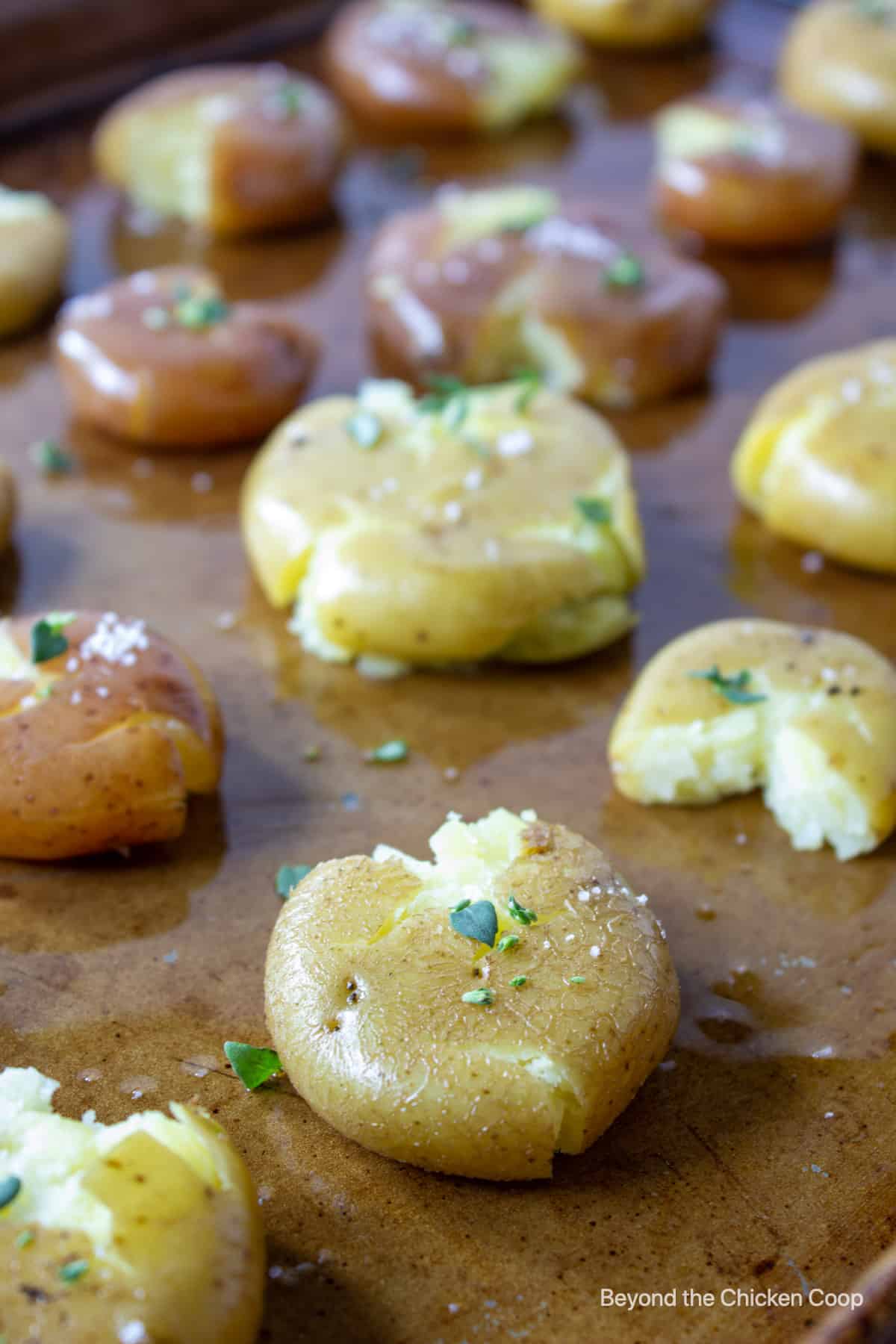Smashed potatoes with herbs and salt.