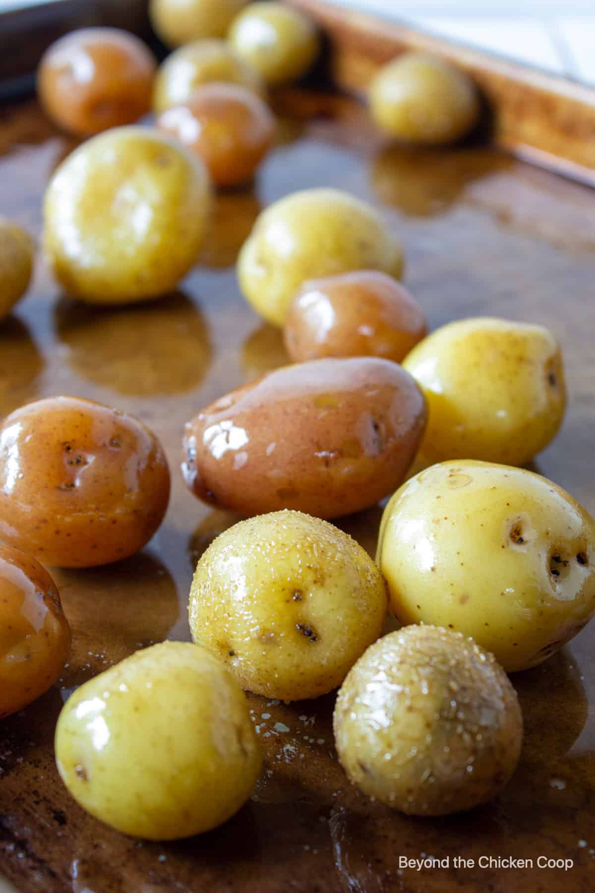 Small potatoes covered in oil.