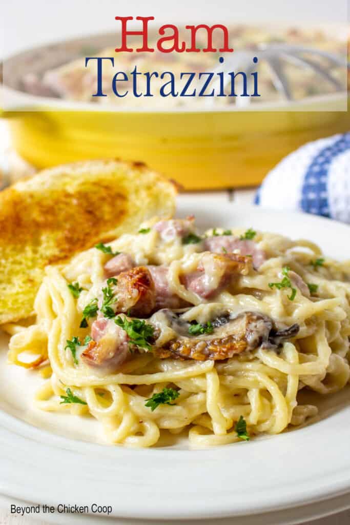 A serving of tetrazzini with ham on a plate.